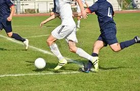 英超,主场与埃弗,顿战平,新葡京,新葡京app,新葡京娱乐,新普京赌场