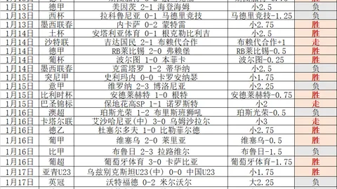 李晓辉和王紫莹携手挺进澳网轮椅网球女双决赛