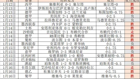 2025深圳斯巴达勇士赛圆满收官，开启中国系列赛之旅3月23日17：34